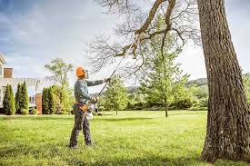 Best Tree Removal Services  in Desloge, MO